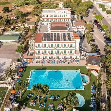 Hotel D'amato 4*