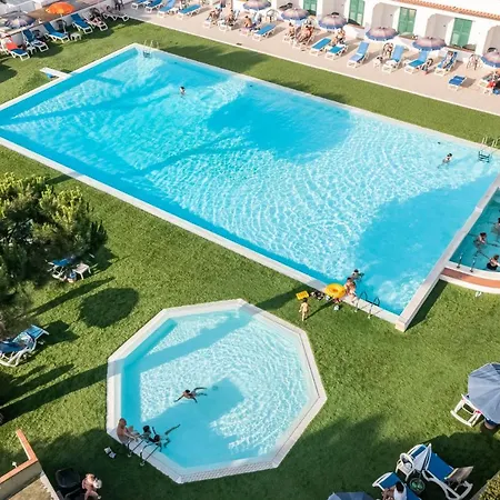 D'amato 4*