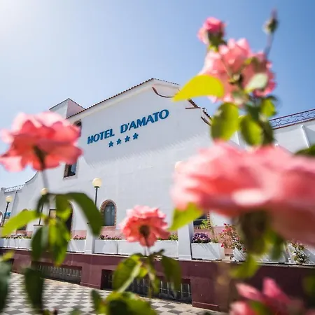 D'amato 4* ペスキチ